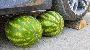 Crushing Crunchy & Soft Things by Car! EXPERIMENT CAR vs WATERMELON