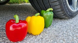 Crushing Crunchy & Soft Things by Car! EXPERIMENT CAR vs PEPPER